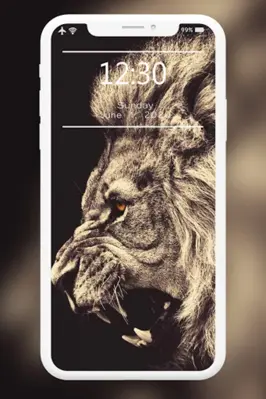 Lion Wallpapers HD android App screenshot 1