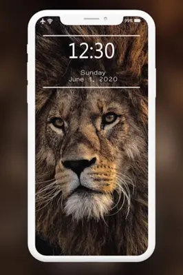 Lion Wallpapers HD android App screenshot 2