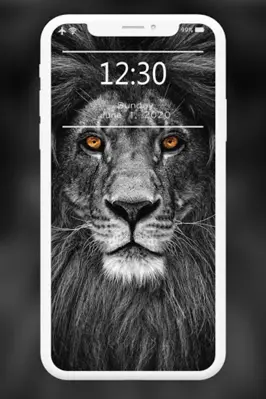 Lion Wallpapers HD android App screenshot 3