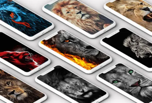 Lion Wallpapers HD android App screenshot 7